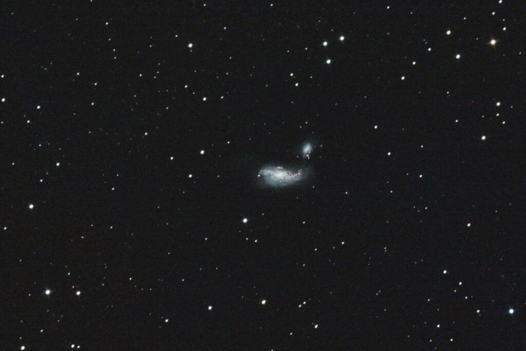 NGC 4490, Cocoon Galaxy