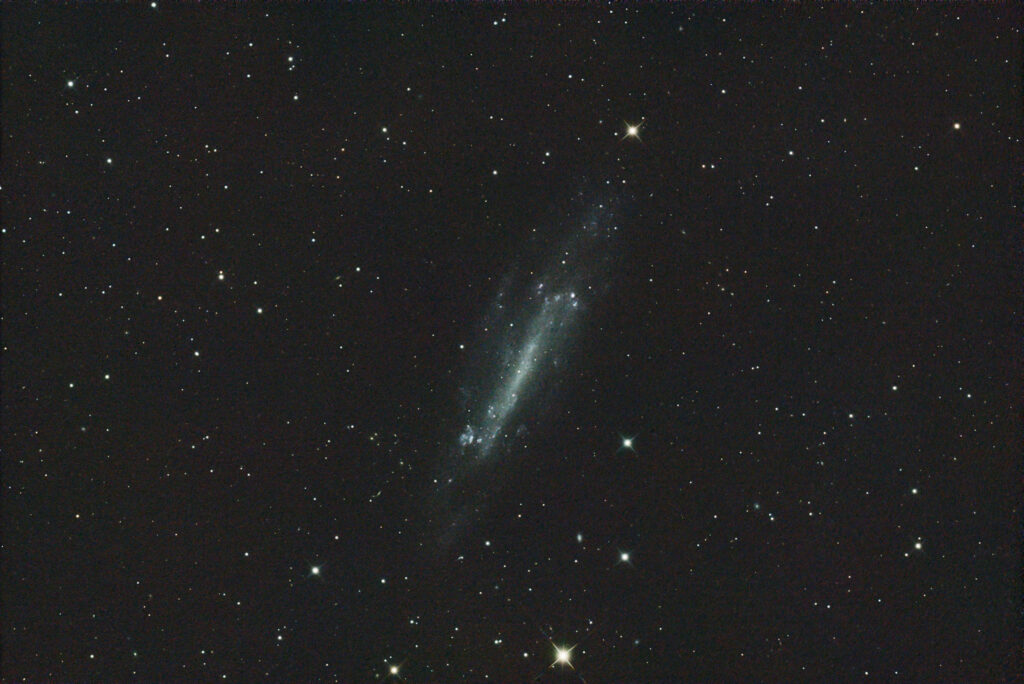 NGC 4236