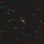 NGC 4565 (also known as the Needle Galaxy or Caldwell 38) is an edge-on spiral galaxy about 30 to 50 million light-years away in the constellation Coma Berenices. It lies close to the North Galactic Pole and has a visual magnitude of approximately 10.
NGC 4565 is a giant spiral galaxy more luminous than the Andromeda Galaxy. Much speculation exists in literature as to the nature of the central bulge. In the absence of clear-cut dynamical data on the motions of stars in the bulge, the photometric data alone cannot adjudge among various options put forth. However, its exponential shape suggested that it is a barred spiral galaxy. Studies with the help of the Spitzer Space Telescope not only confirmed the presence of a central bar but also showed a pseudobulge within it as well as an inner ring.
NGC 4565 has at least two satellite galaxies, one of which is interacting with it. It has a population of roughly 240 globular clusters, more than the Milky Way.
NGC 4565 is one of the brightest member galaxies of the Coma I Group.
Photograped with the MN190 reflector and the ASI 2600MC camera in Stuvsta in March 2022. 26*3min exposure with IDAS LPS P3 filter. NGC 4565 (C38), Needle galaxy