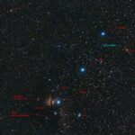 The area around the leftmost star in Orion's belt, Alnitak, has several interesting nebulas. The most well known are the horsehead nebula and the flame nebula.
33*15s exposure with Nikon D800 camera and 300mm lens (200mm used with DX format) in Stuvsta, January 2016. Astrotracker used. IC 434, Horsehead nebula and NGC 2024, Flame nebula