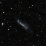 NGC 4236 (also known as Caldwell 3) is a barred spiral galaxy located in the constellation Draco.
The galaxy is a member of the M81 Group, a group of galaxies located at a distance of approximately 11.7 Mly (3.6 Mpc) from Earth. The group also contains the spiral galaxy Messier 81 and the starburst galaxy Messier 82. NGC 4236 is located away from the central part of the M81 group at a distance of 14.5 Mly (4.45 Mpc) from Earth.
15*2min RGB vardera + 25 * 2min Lum NGC 4236