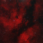 IC 1318, Gamma Cygni Nebula