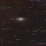 Messier 106 (also known as NGC 4258) is an intermediate spiral galaxy in the constellation Canes Venatici. M106 is at a distance of about 22 to 25 million light-years away from Earth. M106 contains an active nucleus classified as a Type 2 Seyfert, and the presence of a central supermassive black hole has been demonstrated from radio-wavelength observations of the rotation of a disk of molecular gas orbiting within the inner light-year around the black hole. NGC 4217 is a possible companion galaxy of Messier 106. A Type II supernova was observed in M106 in May 2014.
Photographed with RC8" reflector telescope and ASI 2600MC color camera in Stuvsta, March 2023. Exposure was 30*2min with IDAS HEUIB filter. OAG with ASI432 guide camera. Messier 106 (also known as NGC 4258)