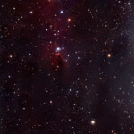NGC 2264, Cone Nebula and Christmas Tree Cluster