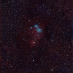NGC 2264, Cone Nebula and Christmas Tree Cluster