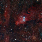 NGC 2264, Cone Nebula and Christmas Tree Cluster