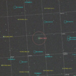 NGC 3642 is a spiral galaxy in the constellation Ursa Major. The galaxy has a low-ionization nuclear emission-line region. It is located at a distance of circa 30 million light years from Earth, which, given its apparent dimensions, means that NGC 3642 is about 50,000 light years across. The galaxy is characterised by an outer pseudoring, which was probably formed after the accretion of a gas rich dwarf galaxy.
The nearby spiral galaxy PGC 34666 is located about 150 million light years away with a visual magnitude of approximately +15. The galaxies PGC 2585851 and PGC 2586019, located about 1 billion (10^9) lightyears away, are also visible. Several of the other PGC-galaxies lies about 800 million lightyears away.
Photographed with RC8" reflector telescope and ASI 2600MC color camera in Åva, April 2023. Exposure was 40min with HEUIB filter. NGC 3642