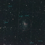 NGC 925 Amatha Galaxy is a barred spiral galaxy located about 30 million light-years away in the constellation Triangulum. The morphological classification of this galaxy is SB(s)d, indicating that it has a bar structure and loosely wound spiral arms with no ring. The spiral arm to the south is stronger than the northern arm, with the latter appearing flocculent and less coherent. The bar is offset from the center of the galaxy and is the site of star formation all along its length. Both of these morphological traits—a dominant spiral arm and the offset bar—are typically characteristics of a Magellanic spiral galaxy.
Photographed with RC8" reflector telescope and ASI 2600MC color camera in Stuvsta, February 2023. Exposure was 28*3min with IDAS LPS D2 light pollution filter. NGC 925