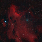 IC 5070 Pelican Nebula