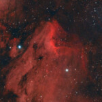 IC 5070 Pelican Nebula