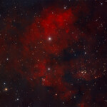 NGC 7822 is a young star forming complex in the constellation of Cepheus. The complex encompasses the emission region designated Sharpless 171, and the young cluster of stars named Berkeley 59. The complex is believed to be some 800–1000 pc distant, with the younger components aged no more than a few million years.
The complex also includes one of the hottest stars discovered within 1 kpc of the Sun, namely BD+66 1673, which is an eclipsing binary system consisting of an O5V that exhibits a surface temperature of nearly 45,000 K and a luminosity about 100,000 times that of the Sun. The star is one of the primary sources illuminating the nebula and shaping the complex's famed pillars of creation-type formations, the elephant trunks.
Photographed with APO 107 mm refractor telescope and Atik 360EX monochrome CCD camera in December 2019. Exposure was 76 min Ha and 16 min for each of RGB. NGC 7822