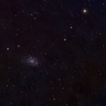 NGC 2403 is an intermediate spiral galaxy in the constellation Camelopardalis. NGC 2403 is an outlying member of the M81 Group, and is approximately 8 million light-years distant. It bears a striking similarity to M33, being about 50,000 light years in diameter and containing numerous star-forming H II regions. The northern spiral arm connects it to the star forming region NGC 2404.
Photographed with APO107 mm refractor telescope and Atik 360EX CCD monochrome camera in Stuvsta January 2019. Exposure was 75 min. NGC 2403