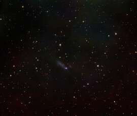 NGC 2366 is a Magellanic barred irregular dwarf galaxy located in the constellation Camelopardalis and at a distance of 11 millon light-years. At the southern end of NGC 2366 is the large, luminous HII region known as Markarian 71 (Mrk 71).
To the west of Mrk 71 is another dwarf galaxy NGC 2363 which is interacting with NGC 2366. Within the region known as Mrk 71, there are two super star clusters (SSC) which are named 'A' and 'B' or 'Knot A' and 'Knot B'.
NGC 2366 is an outlying member of the M81 Group.
Photographed with the MN190 reflector telescope and the Atik 360EX monochrome CCD camera in Stuvsta., early April 2024. Exposure was approx. 25 min of each RGB, 18 min Ha and 27 min Lum. I was using an OAG which resulted in a guide error of around 0,5". NGC 2363 and NGC 2366