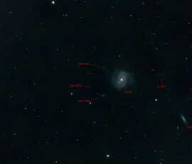 Messier 100 (NGC 4321) is an example of a grand design spiral galaxy located within the southern part of constellation Coma Berenices. It is one of the brightest and largest galaxies in the Virgo Cluster, located approximately 55 million light-years distant from Earth and has a diameter of 107,000 light years. The galaxy was one of the first spiral galaxies to be discovered. Two satellite galaxies named NGC 4323 -connected with M100 by a bridge of luminous matter- and NGC 4328 are present within this galaxy and seen to the left in this photograph.
Photographed with the CPC 9,25" reflector telescope and the Nikon D800 DSLR camera in Stuvsta, April 2016.. Exposure was 11*60s at ISO 800. M100