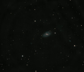Messier 109 (NGC 3992) is a barred spiral galaxy approximately 83.5 ± 24 million light-years away in the constellation Ursa Major. SN 1956A was a type Ia supernova in the southeast part of the galaxy, glowing at magnitude 12.8 to 12.3 at its maximum.
An early photo with the CPC 9,25" reflector telescope and Nikon D800 DSLR camera in Stuvsta, April 2016. Exposure was 30 * 30 s at ISO 800. M109