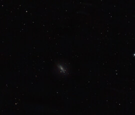 NGC 4559 (also known as Caldwell 36) is an intermediate spiral galaxy with a weak inner ring structure in the constellation Coma Berenices. Distance estimates for NGC 4559 range from about 28 million light-years to 31 million light-years.
NGC 4559 is a member of the Coma I Group.
Photographed with MN190 reflector telescope and ZWO ASI 2600MC CMOS camera with IDAS LPS P3 light pollution filter in Stuvsta, March 2022. Exposure was 27 * 3 min in heavy moonshine, NGC 4559