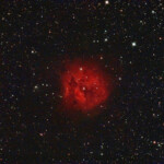IC 5146, Cocoon Nebula