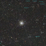 M56
