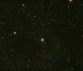 NGC 7006 (also known as Caldwell 42) is a globular cluster in the constellation Delphinus. NGC 7006 resides in the outskirts of the Milky Way. It is about 135,000 light-years away, five times the distance between the Sun and the centre of the galaxy, and it is part of the galactic halo. This roughly spherical region of the Milky Way is made up of dark matter, gas and sparsely distributed stellar clusters.
NGC 7006 appears in the science fiction novel Beyond the Farthest Star by Edgar Rice Burroughs, where it is used as a point of reference by the inhabitants of the planet Poloda to determine the approximate location of Earth.
Photographed with the RC8" reflector telescope and the ASI 2600MC CMOS color camera in Stuvsta, September 8th, 2024. Exposure was 40 * 2 min with IDAS LPS P3 light pollution filter. Postprocessing in Pixinsight with Blur Xterminator. NGC 7006