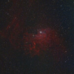 Photographed with the APO 107 mm refractor telescope and the ASI 2600MC color CMOS camera in Stuvsta, November 23rd, 2024. Exposure was 33 * 2 min with IDAS LPS P3 filter. No Moon, but very poor seeing duing to a low temperature of -8 centigrades and high humidity. IC 405, Flaming Star Nebula