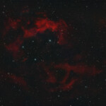 Sh 2-261 is an H-II region on the outermost edge of the Orion arm of our Milkyway, on the border of the galactic region between the Orion and Perseus arm. It lies at a distance of 3 200 light-years. It has been suggested that it is a large ancient supernova remnant. The nebula is roughly the same apparent size as the Orion Nebula, but much fainter and there is no reflection nebulosity present. The nebula was discovered in 1939 by father and son Lower, using a home-built Scmidt telescope.
Photographed with the RC8" reflector telescope and the ASI 2600MC color CMOS camera in Stuvsta, February 19th, 2025. Exposure was 30*3 min with IDAS GNB narrowband filter. Postprocessing in Pixinsight. Sh 2-261, Lower's Nebula