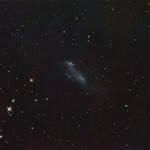 Photographed with the RC8" reflector telescope and the ASI 2600MC color CMOS camera in Stuvsta, April 3rd, 2025. Exposure was 29*3 min with IDAS LPS D2 filter. Post-processing in Pixinsight. 20% Moon and somewhat windy. IC 2574, Coddington's Nebula