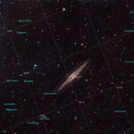 NGC 891