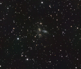 Photographed with the MN 190 mm reflector telescope and the Atik 360EX monchrome CCD camera in Stuvsta on December 26th, 2025. Exposure was 30 min for each of G, B, and Ha, and 60 min for each of R and L. Postprocessing in Pixinsight with Blur Xterminator and using the new VeraLux stretch routine.. Final touch was done in Photoshop. Half moon and minimal wind. 50% cropped. Stephan's Quintet, NGC 7320 and others