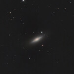 Photographed with the RC8" reflector telescope and the ASI 2600MC color CMOS camera in Stuvsta, May 1st, 2026. Exposure was 30*3 min with IDAS LPS P3 filter. Postprocessed in Pixinsight and Photoshop. This is a cropped version, approx. 40% of the original picture. M102, Spindle Galaxy